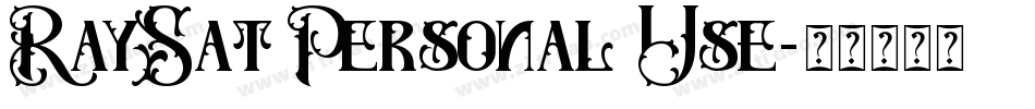 RaySat Personal Use字体转换